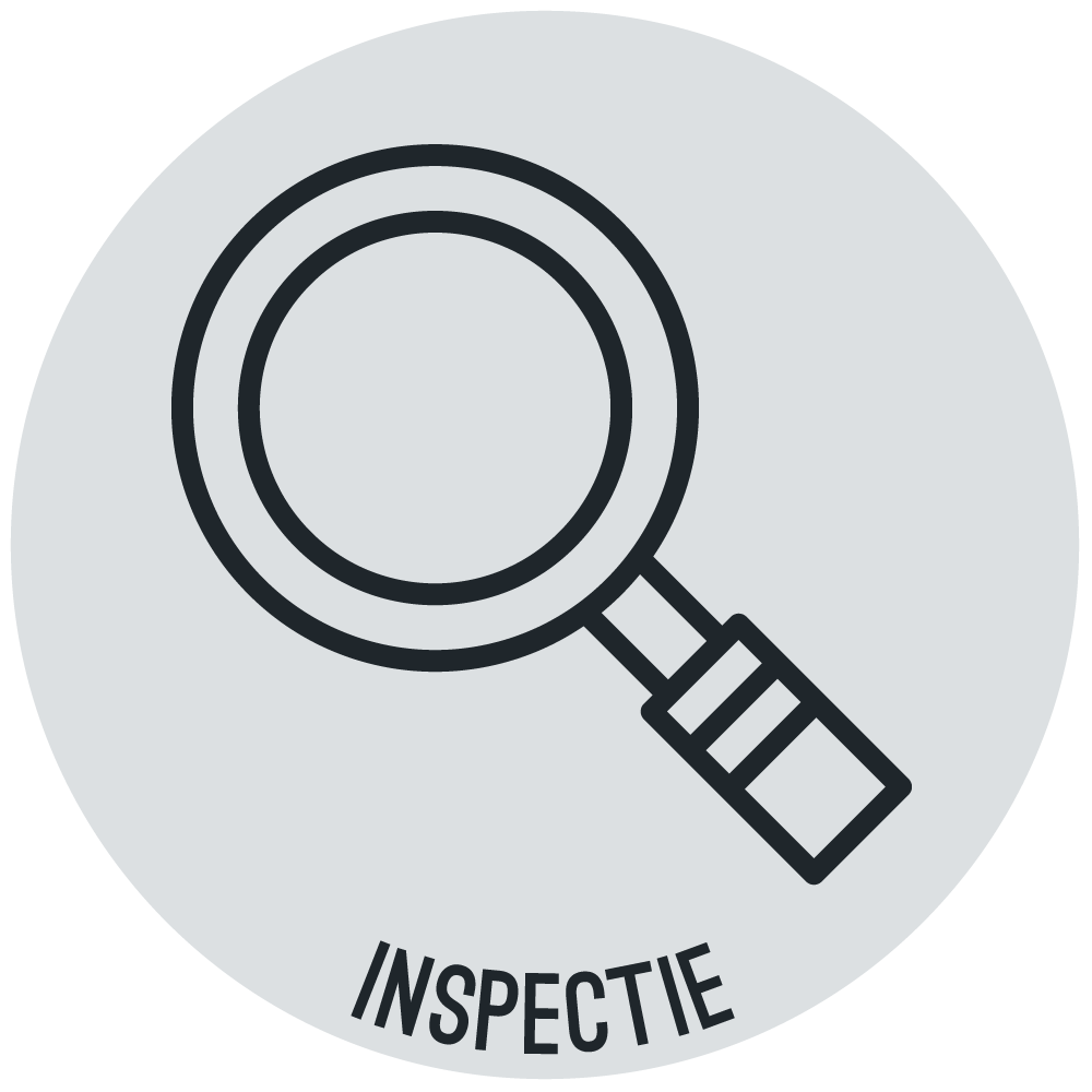 Inspectie Icoon